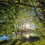 Weiherhuettla Untersteinach